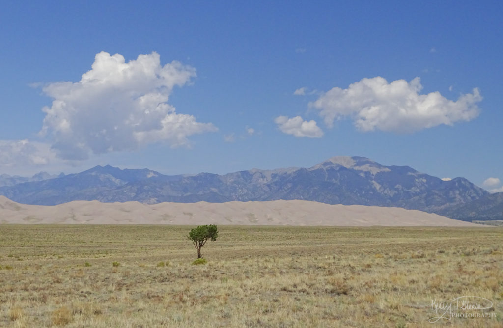 Great Sand Dunes National Park